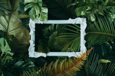 Vintage çerçeve ile tropikal yaprak yaratıcı düzeni yapılmış. Doğa kavramı.