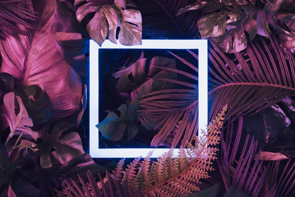 Rozložení Kreativní Fluorescenční Barvy Vyrobené Tropických Listů Neon Světlo Čtvercový — Stock fotografie