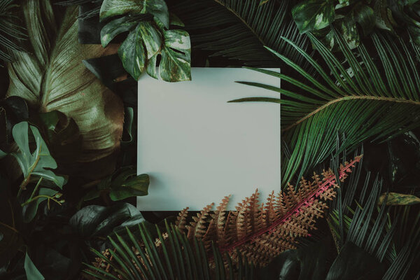 Creative layout made of tropical leaves with paper card note. Nature concept.