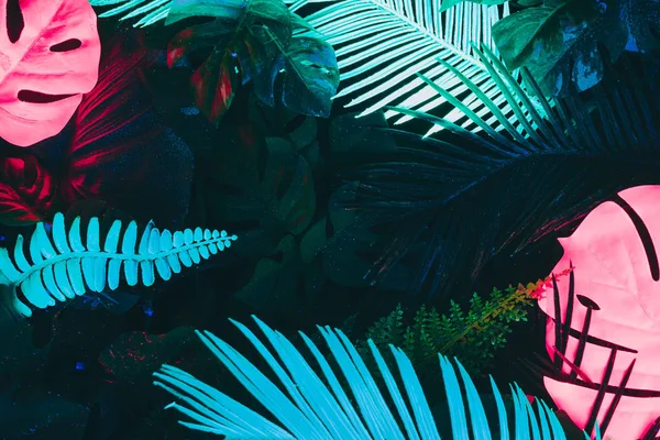 Diseño Color Fluorescente Creativo Hecho Hojas Tropicales Concepto Naturaleza —  Fotos de Stock