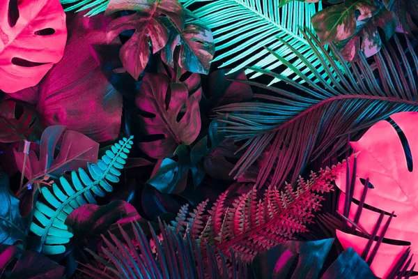 Trópusi Készült Kreatív Fluoreszkáló Színű Elrendezését Hagy Természet Koncepció Stock Fotó