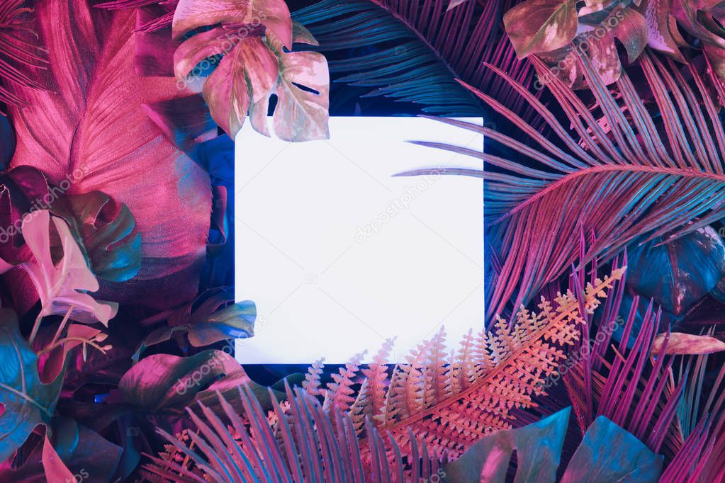 Creative fluorescent color layout made of tropical leaves with neon light square paper card. Nature concept 