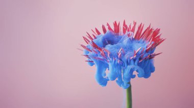 Pastel mavi mürekkep, yaratıcı soyut yaz Bloom kavramı ile pembe papatya çiçeği 