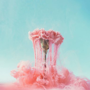 Pastel mürekkep, yaratıcı soyut yaz Bloom kavramı ile pembe karanfil çiçek 