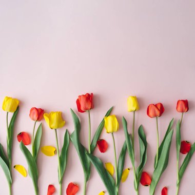 Kırmızı ve sarı lale çiçekler ve pastel pembe arka planda yaprakları ile yapılan yaratıcı düzeni. Minimal bahar doğa kompozisyon 