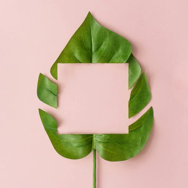 Kreativ Layout Gjord Med Klipp Monstera Blad Pastellrosa Bakgrund Minimal — Stockfoto