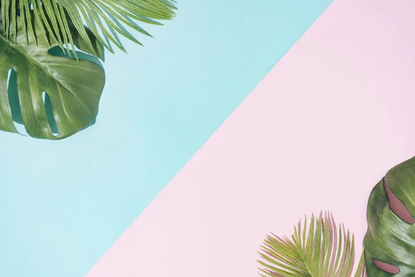 Hojas Palma Tropical Sobre Fondo Rosa Pastel Azul Concepto Verano —  Fotos de Stock