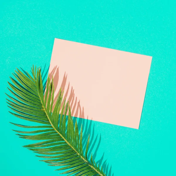 Tropical Palm Leaf Pink Paper Card Note Vivid Blue Background — Stock Photo, Image