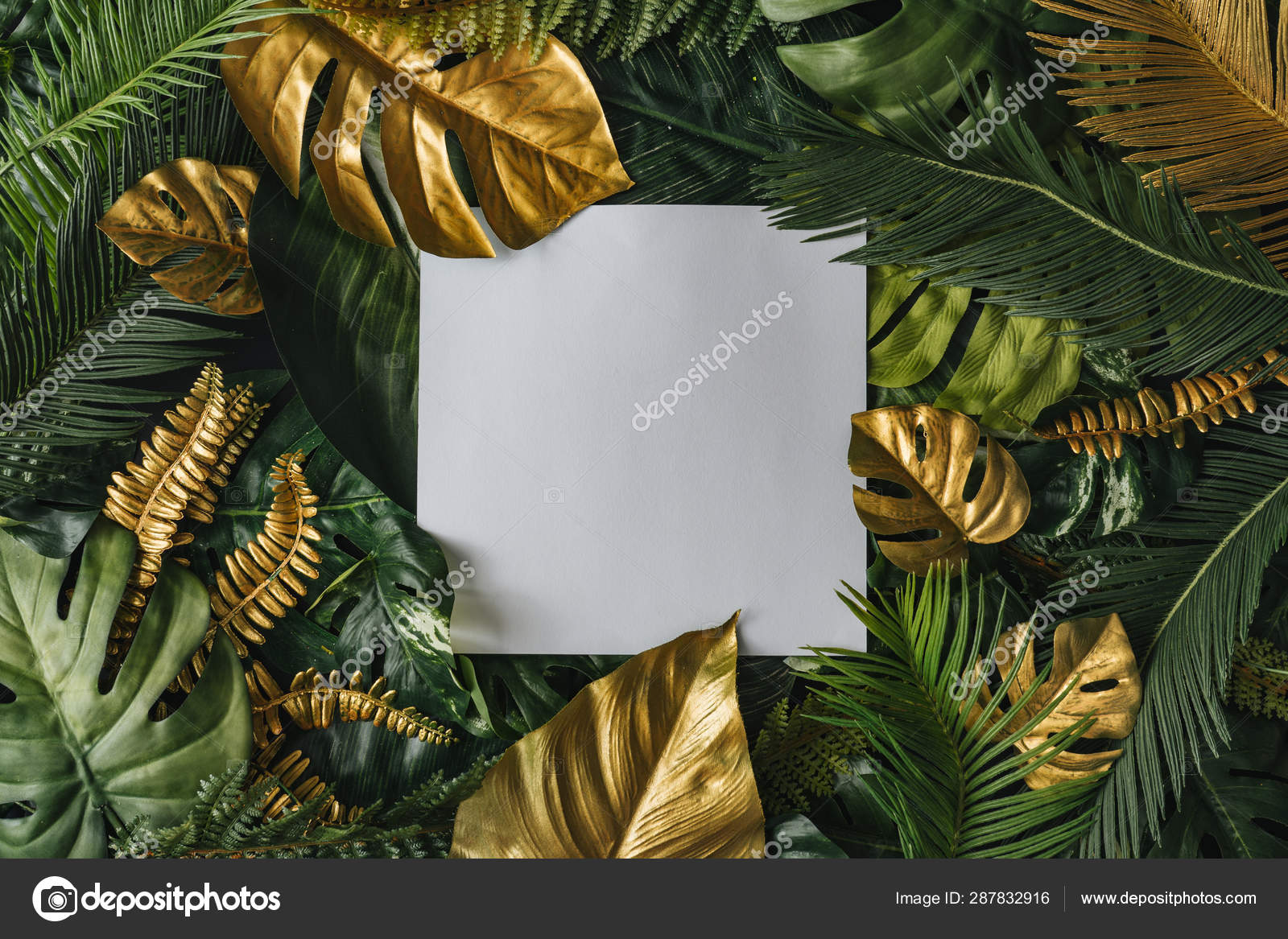 Creative Nature Background Gold Green Tropical Palm Leaves White Paper  Stock Photo by ©Zamurovic 287832916