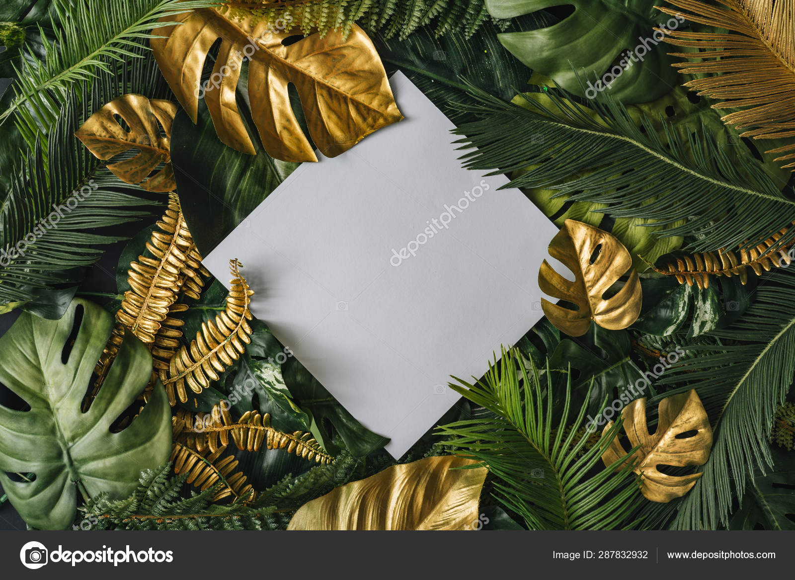 Creative Nature Background Gold Green Tropical Palm Leaves White Paper  Stock Photo by ©Zamurovic 287832932