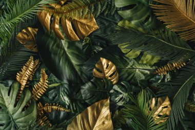 Creative nature background of Gold and green tropical palm leaves. Minimal summer abstract jungle pattern clipart