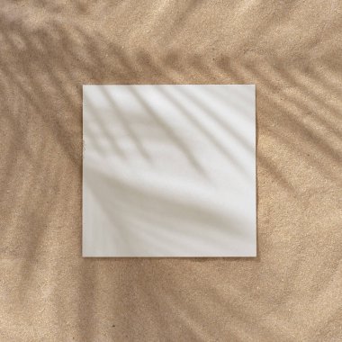 Tropikal palmiye ile Yaz plaj gündüz sahne kumlu arka plan üzerinde beyaz kağıt kart notu ile gölgeler bırakır, Minimal güneş ışığı tropikal düz döşeme düzenleme 