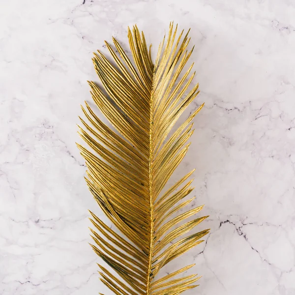 Kreatives Layout Aus Goldenem Tropischen Palmblatt Mit Weißem Papierkarton Auf — Stockfoto