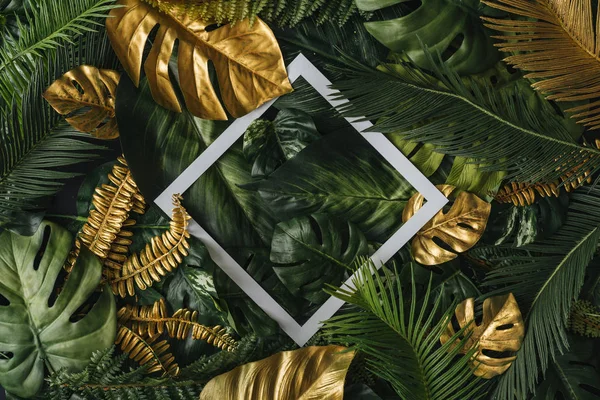 Kreativ Natur Bakgrund Guld Och Gröna Tropiska Palmblad Med Vitt — Stockfoto