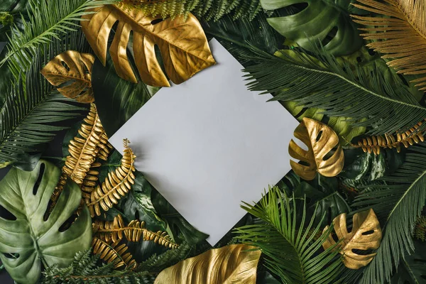 Creative Nature Background Gold Green Tropical Palm Leaves White Paper — Stock Photo, Image