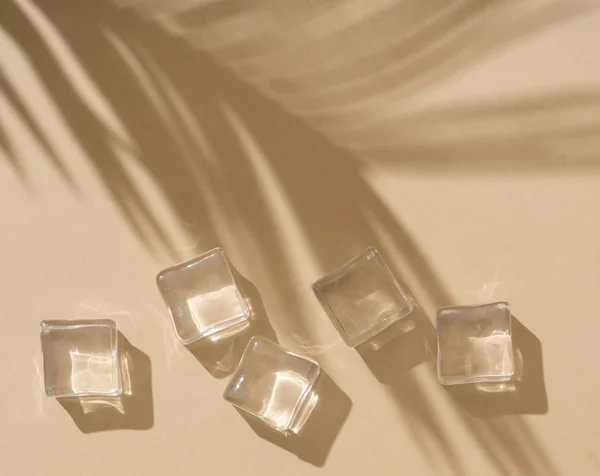 Cena Diurna Verão Com Cubos Gelo Sombra Tropical Folhas Palma — Fotografia de Stock