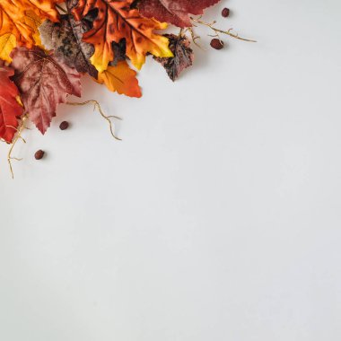 Renkli sonbahar yaprakları ve dalları yaratıcı sezon düzeni. Mevsimsel konsept. 