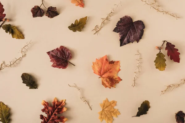 茶色の背景にカラフルな葉を持つ秋のシーンの背景 ミニマルな自然の季節のコンセプト — ストック写真