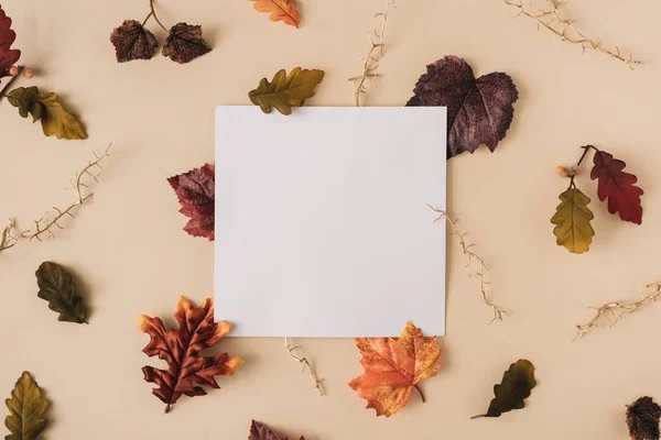 Fundo Cena Queda Com Cartão Papel Branco Folhas Coloridas Com — Fotografia de Stock