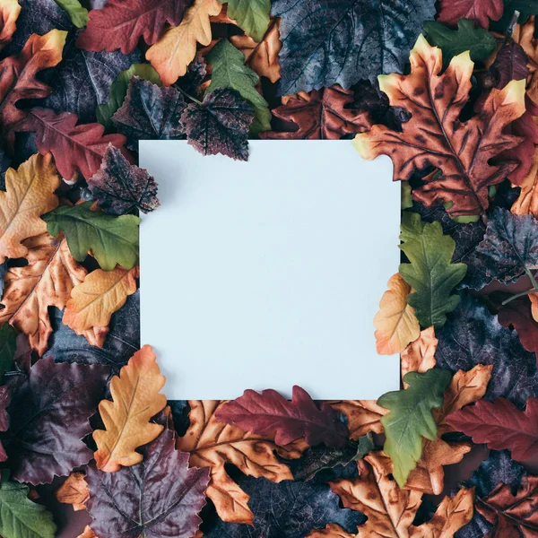 Outono Cena Fundo Com Cartão Papel Branco Folhas Coloridas Conceito — Fotografia de Stock