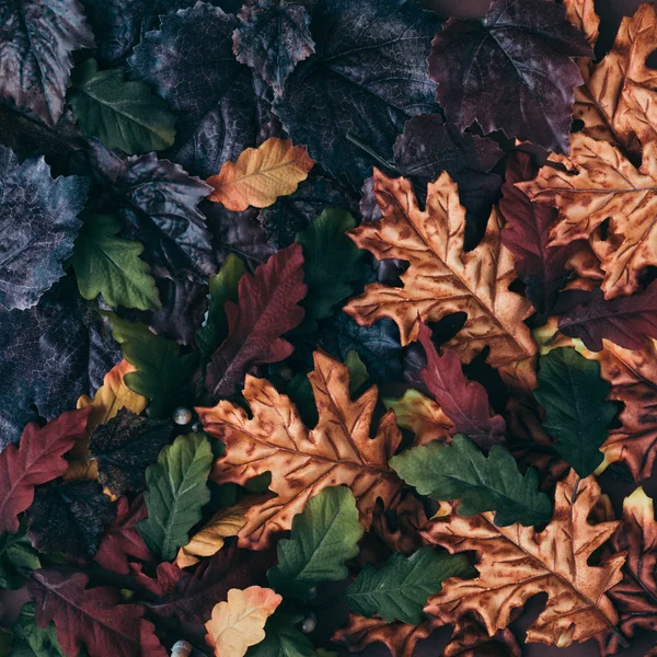 カラフルな葉と秋のシーンの背景 ミニマルな自然の季節のコンセプト — ストック写真