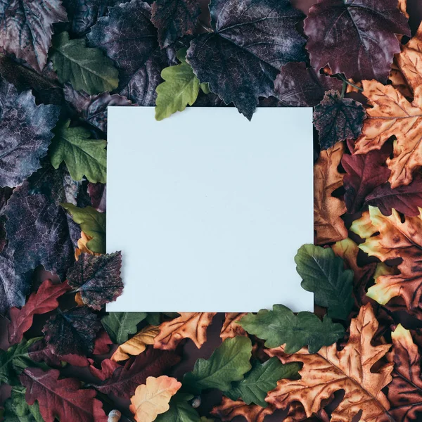 カラフルな葉に白い紙のカードと秋のシーンの背景 ミニマルな自然の季節のコンセプト — ストック写真