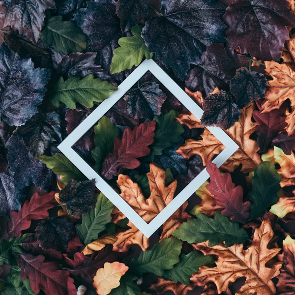 カラフルな葉に白いフレームを持つ秋のシーンの背景 ミニマルな自然の季節のコンセプト — ストック写真