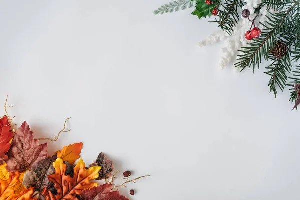 Творческая Сезонная Компоновка Цветных Осенних Зимних Листьев Ветвей — стоковое фото