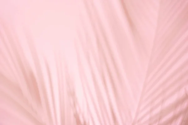 Літня Сцена Дня Пляжі Тропічними Тінями Пальмового Листя Рожевому Фоні — стокове фото