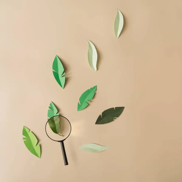 Paper leaves with magnifying glass on light background. Minimal nature concept.
