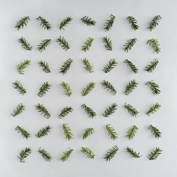 Creative arrangement with fir branches. Minimal winter background 