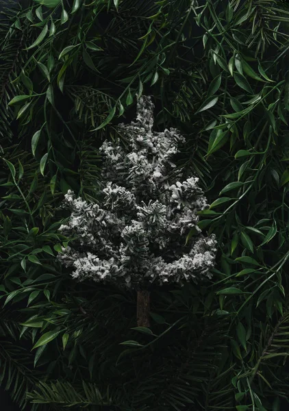 雪のクリスマスツリーと枝や葉で作られた創造的な冬のレイアウト 自然の休日の概念 — ストック写真