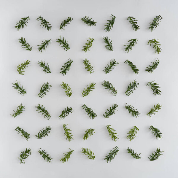 Creative arrangement with fir branches. Minimal winter background 