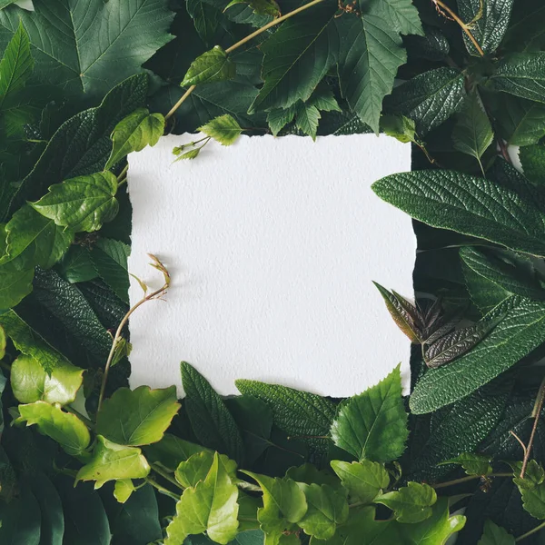 Creatieve Arrangement Gemaakt Met Natuurlijke Lente Bladeren Met Papier Kaart — Stockfoto