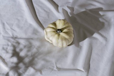 Balkabağı ve sert gölgelerle retroskopik yaşam düzeni. Cadılar Bayramı temalı yaratıcı konsept. Sonbahar renkleri. Düz arkaplan.