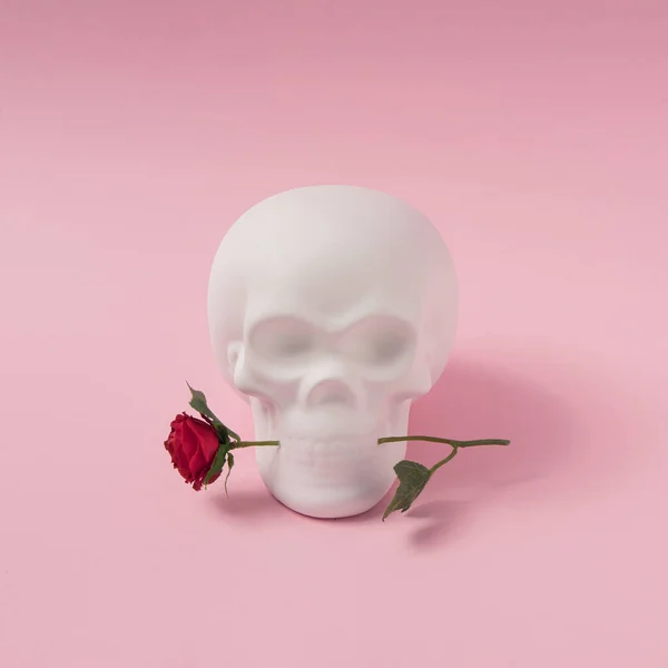 Totenkopf Mit Rosenblüte Minimal Romantisches Liebeskonzept Halloween Rosa Hintergrund — Stockfoto