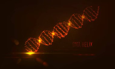 parlayan çevreler ve parçacıklar DNA şekli  .