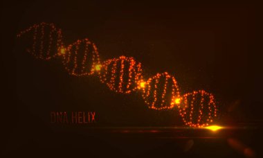 parlayan çevreler ve parçacıklar DNA şekli  .
