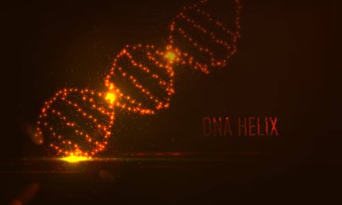 parlayan çevreler ve parçacıklar DNA şekli  .
