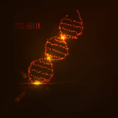 parlayan çevreler ve parçacıklar DNA şekli  .