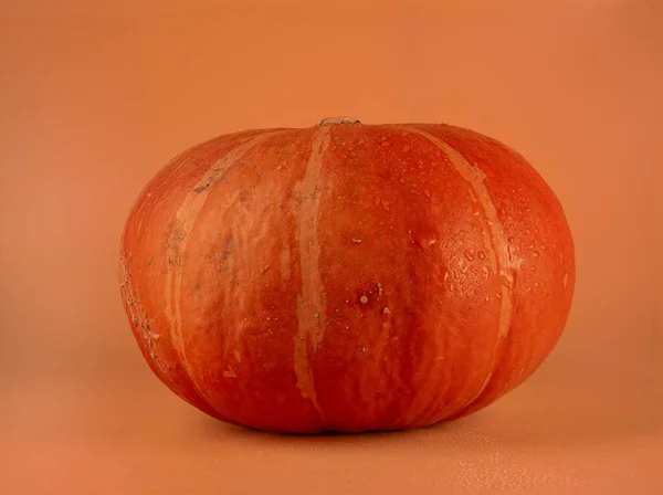 Vibrant Pumpkin on Orange Background Isolated. High quality photo