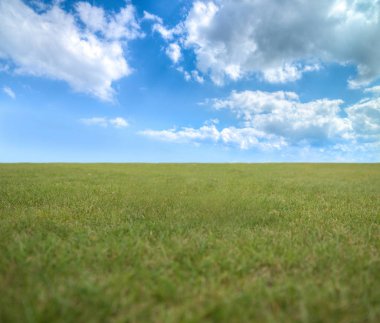 Arazi ve gökyüzü ile yaz manzarası