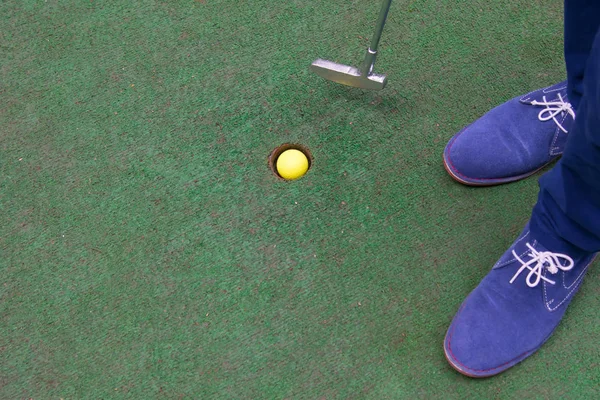 mini Golf, top view, putter in pocket