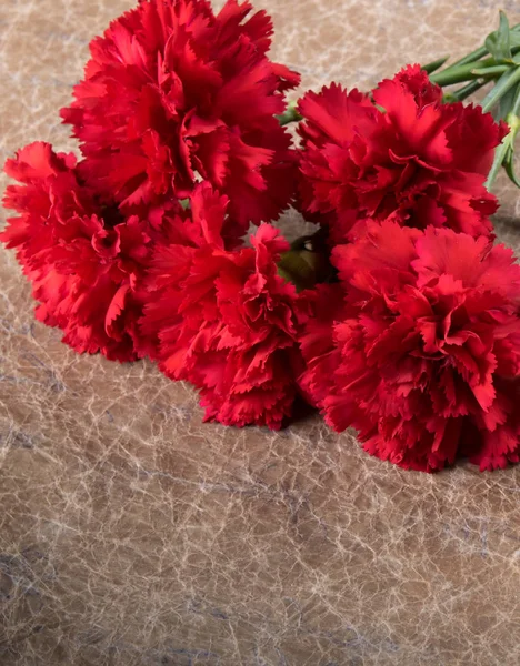 bouquet of red carnations, on the background of old paper and with a place for the inscription