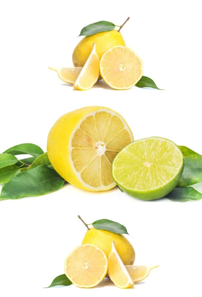 Geïsoleerde Citrus Geheel Plakjes Verse Citroen Limoen Witte Achtergrond Close — Stockfoto