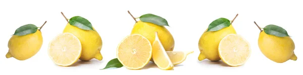 Geïsoleerde Citrusschijfjes Vers Fruit Gesneden Halve Citroen Een Rij Witte — Stockfoto
