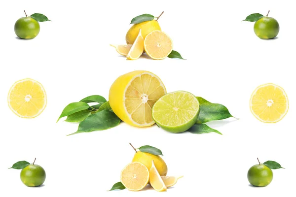 Geïsoleerde Citrus Heel Plakjes Verse Citroen Limoen Witte Achtergrond — Stockfoto