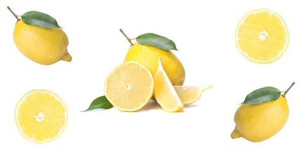 シトラス分離 新鮮なレモン 全体とスライス 白い背景に — ストック写真