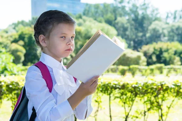 Chica Uniforme Escolar Leyendo Libro Calle Con Buen Tiempo — Foto de Stock