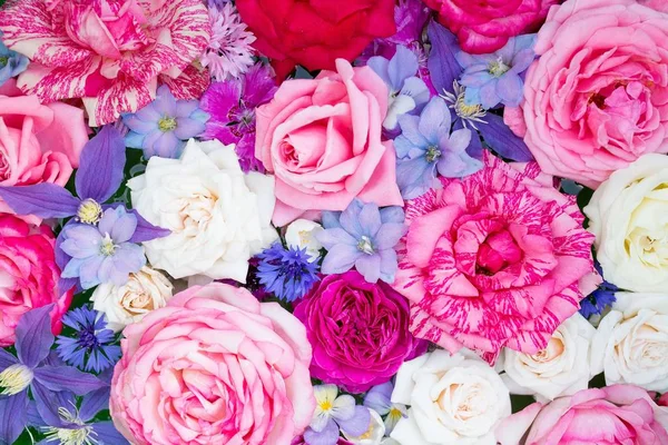 Arka plan olarak renkli yaz çiçek.